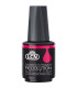 Vernis semi-permanent Recolution Hiver 2024 • LCN