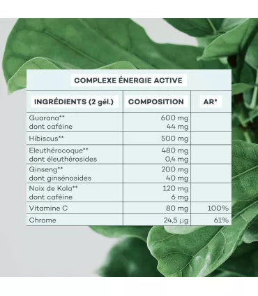 Programme Brûle-Graisses - D-LAB