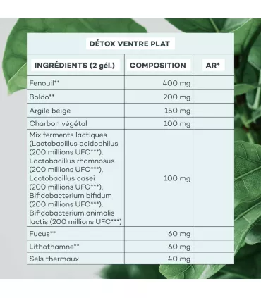 Programme Ventre-Plat • D-LAB