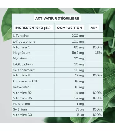 Programme Ventre-Plat • D-LAB